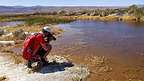 Herb stalking a pupfish